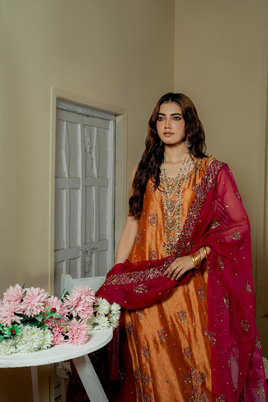 Woman in traditional formal wear maxi outfit with jewelry, surrounded by decorative elements.