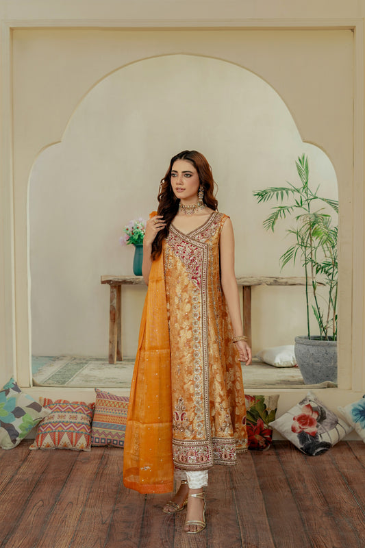 Woman in a traditional formal frock outfit standing in a room with decorative pillows and plants.